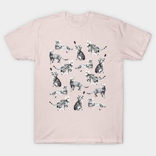 Bengal Kittens Grey Seamless Pattern T-Shirt